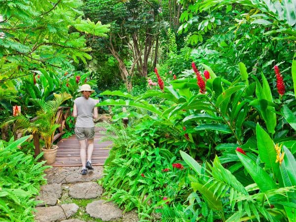 person walking on trail Andromeda Botanic Gardens