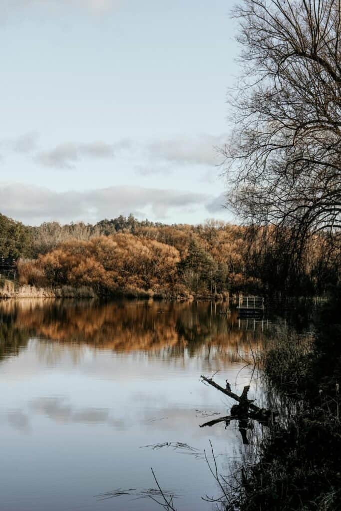 moody autumn river scene