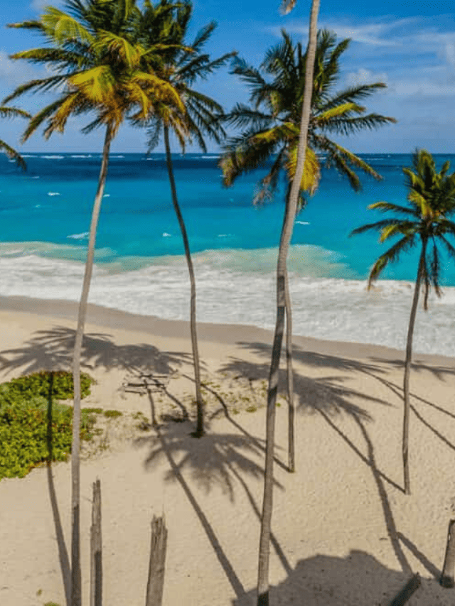 21 THINGS TO DO IN BARBADOS FOR ALL AGES STORY