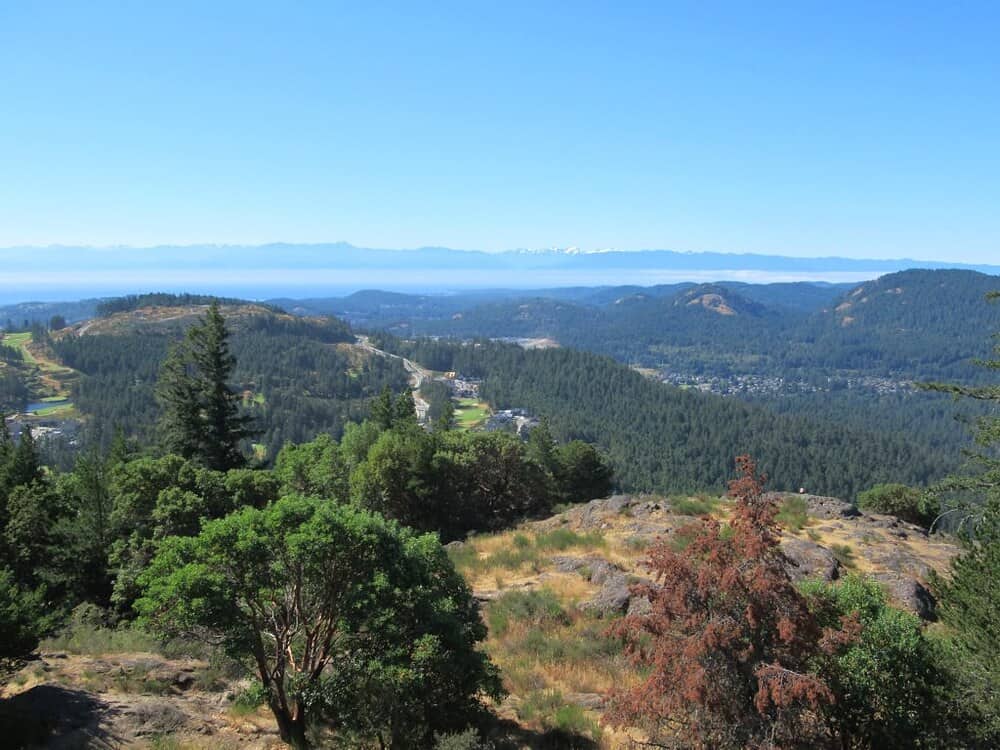 view from mount finlayson