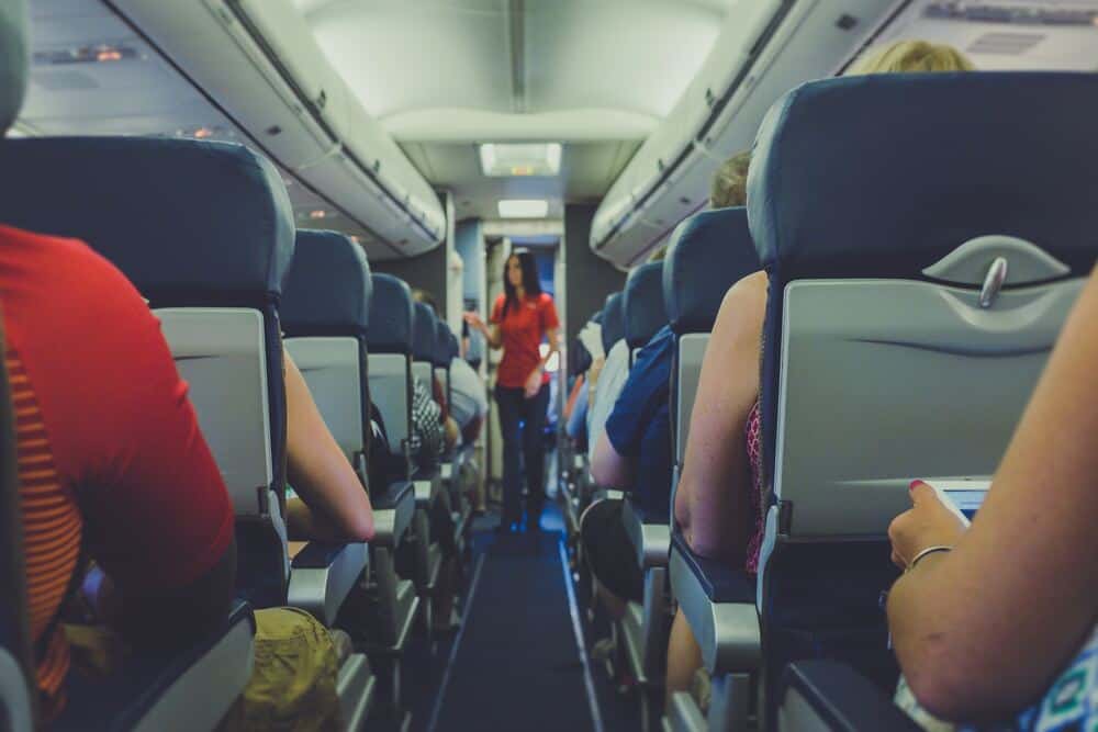 cabin crew on a plane
