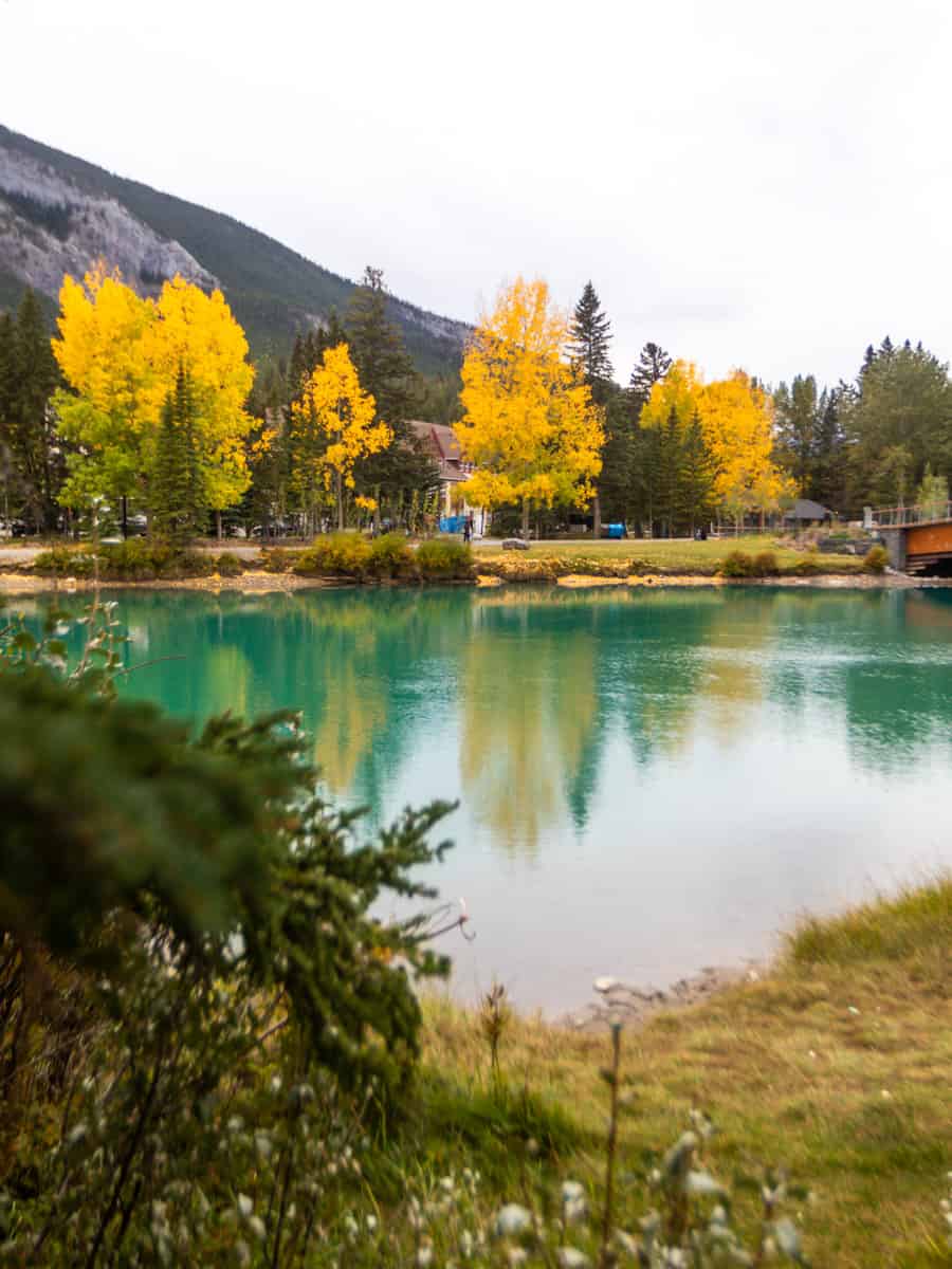 18 Fun Things To Do In Banff Town, Alberta