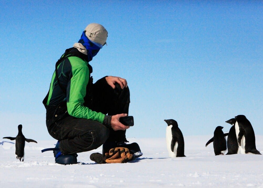 Researcher in Antarctica next to penguins