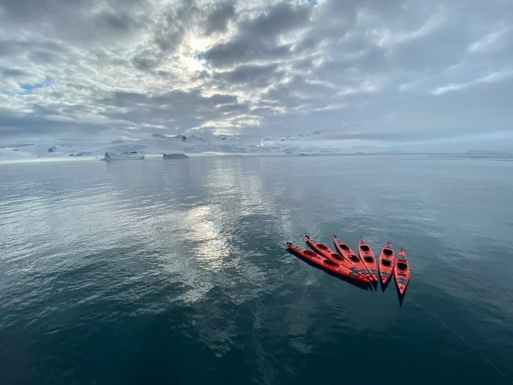 kayaks in antarctica
