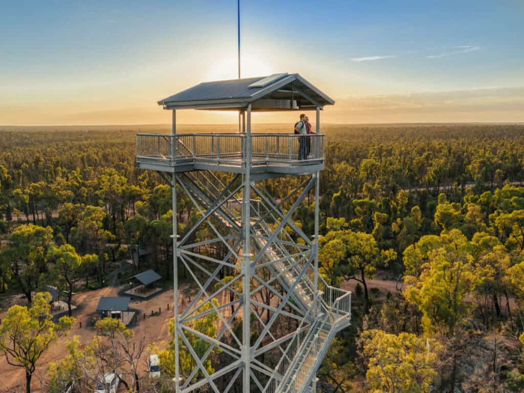 People looking out at scenic views from the top of Pilliga Forest Lookout Tower located between Narrabri and Coonabarabran |