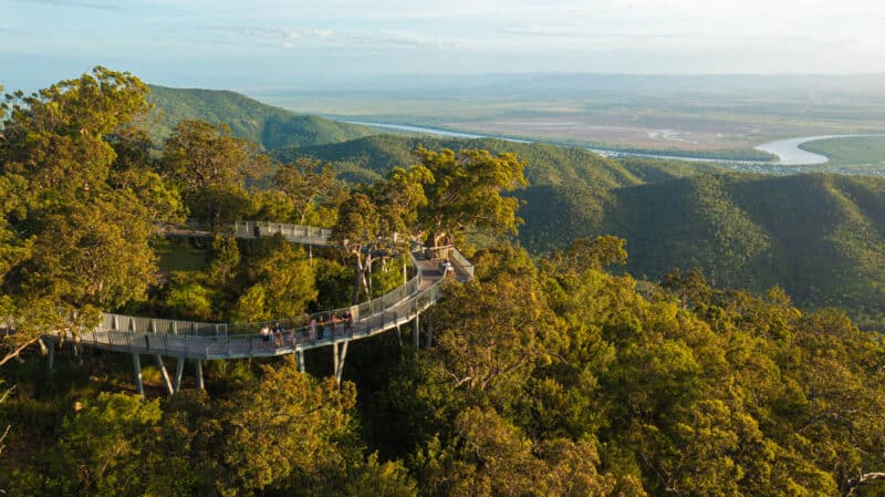 Guided tour along the elevated treetop boardwalk in the Mount Archer National Park