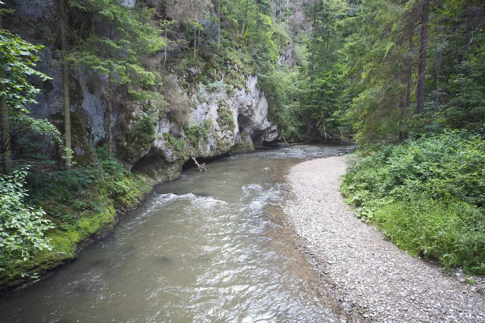 river running through lush Slovak Paradise National Park