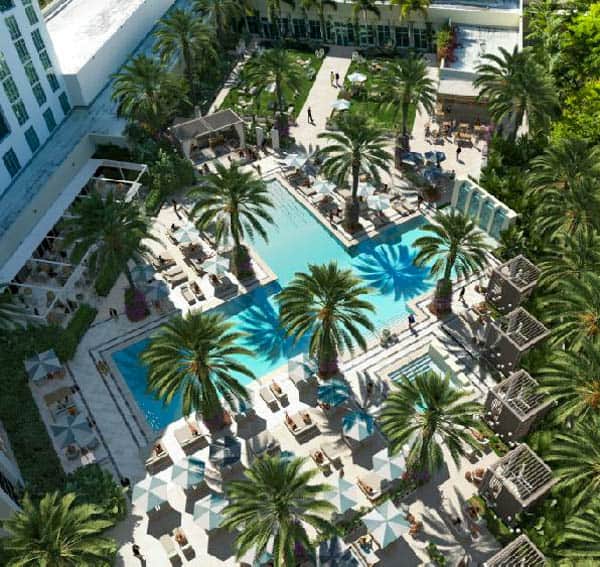 aerial view of hilton palm beach hotel swimming pool surrounded by palm trees