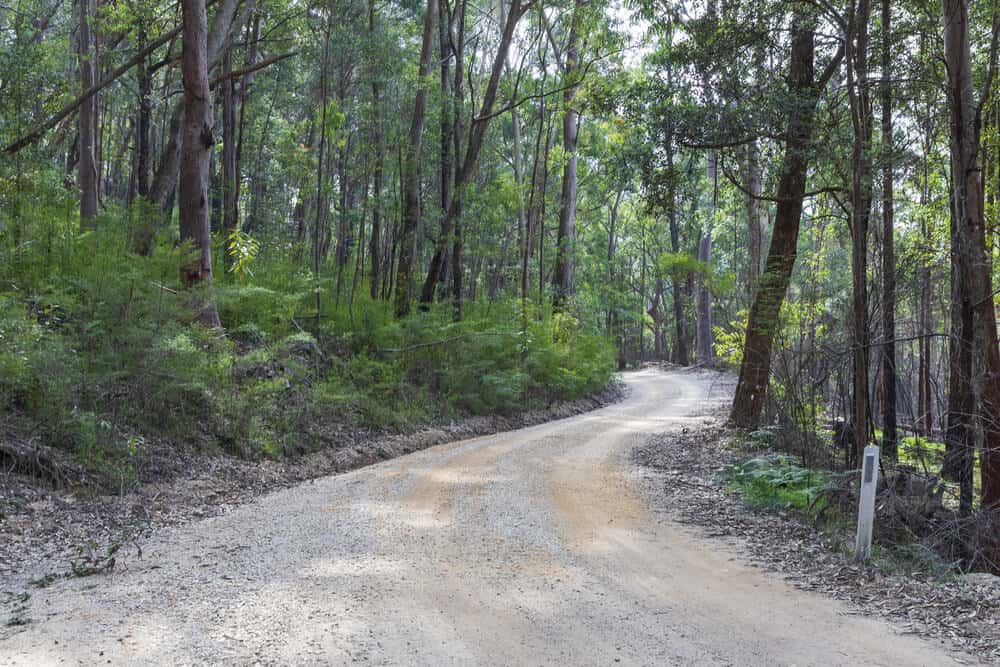 road going through Wollemi National Park