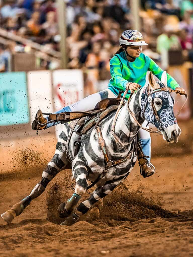 woman on horse with zebra costume at rodeo in mt isa