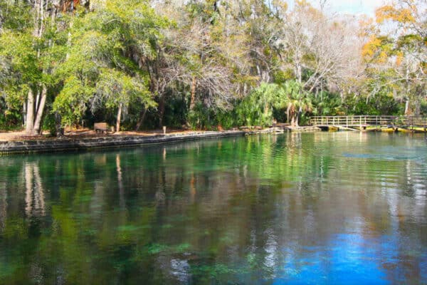Wekiwa Springs State Park