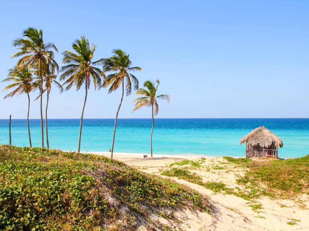 cuba beach with brilliant turquoise water a beach shack and palm trees