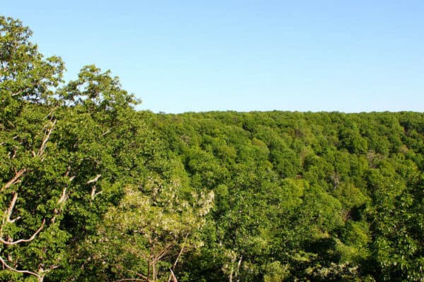 monte sano state park alabama